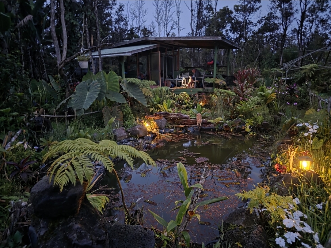 The FlashTown cabin glowing beside the pond at twilight
