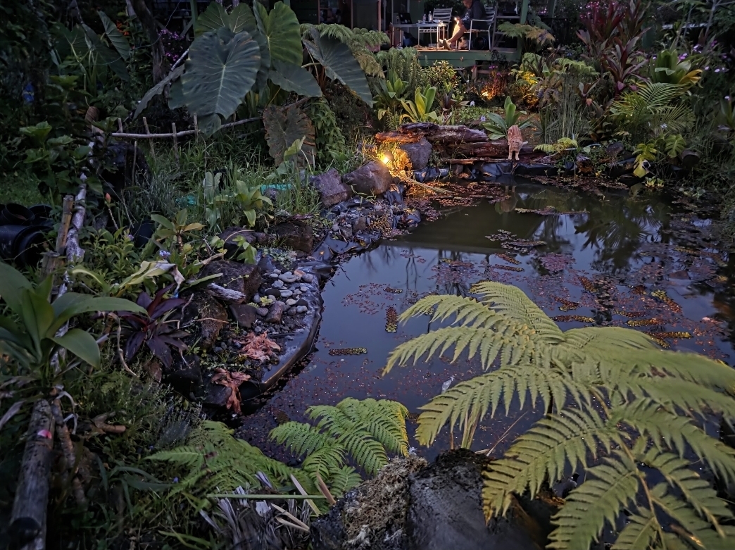 Ferns and pond lights at FlashTown after dusk