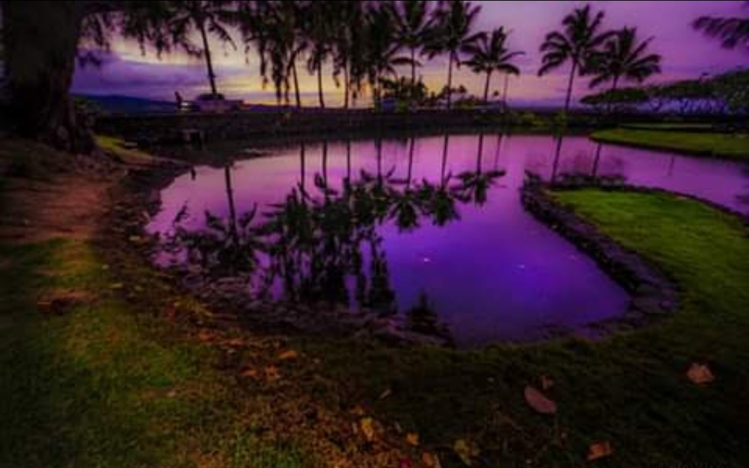 Deep purple lagoon reflection at FlashTown