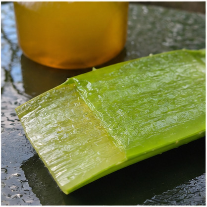 Fresh aloe prepared for Fruity Puppy